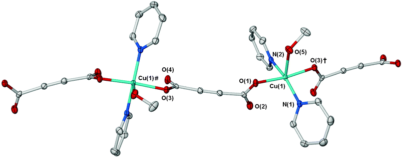 A portion of the 1D coordination polymer [Cu(O2CCCCO2)(C5H5N)2(MeOH)] (1). Ellipsoids displayed at 50% probability, hydrogen atoms omitted for clarity. Symmetry equivalents used; †, x – 1, ½ – y, z – 1/2; #, 1 + x, ½ – y, ½ + z.