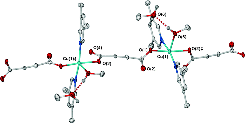 A portion of the 1D coordination polymer [Cu(O2CCCCO2)(Me2C5H3N)2(MeOH)]·MeOH (2). Ellipsoids displayed at 50% probability, hydrogen atoms omitted for clarity. Symmetry equivalents used; ‡, x – 1/2, ½ – y, ½ + z; $, ½ + x, ½ – y, z – 1/2.