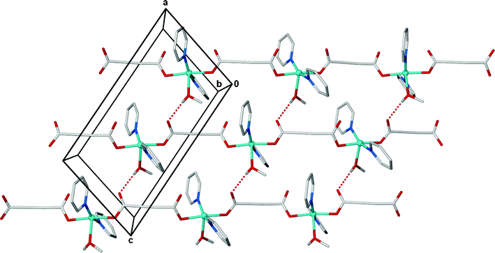 
          Hydrogen bonded (4,4)-sheets propagate parallel to the ac plane in the structure of 1. CH hydrogen atoms are omitted for clarity.