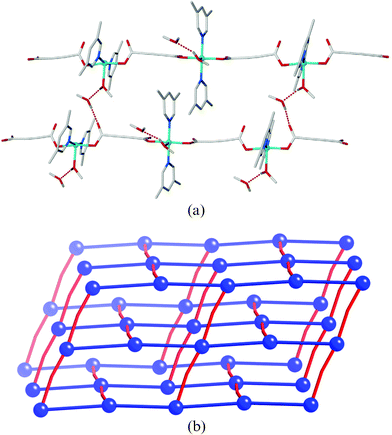 (a) The linking of two adjacent chains in 2via the hydrogen bonding bridges; all links between chains are equivalent. (b) Schematic representation of the overall cds topology. Blue spheres represent the Cu nodes, blue bonds represent the coordinated acetylenedicarboxylate bridges, and red bonds represent the hydrogen bonding bridges.