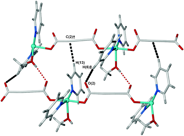 A single window in the (4,4) sheets in 1, showing the close C–H⋯X interactions (black dashed lines) for two of the four pyridine 3/5 positions. The distances are H(6)‡⋯O(2) = 2.64 Å and H(13)⋯C(2)† = 2.85 Å. Symmetry equivalents used; ‡, 1 + x, y, z; †, x, ½ – y, z – 1/2.