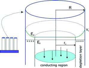 Electrical field and carrier distribution in a semiconductor rod of radius R in contact with electrolyte. Ec is the conduction band energy, EF is the Fermi level and Vs the electric potential at the surface. The surface depletion layer and the central conducting region (radius rn) are indicated.