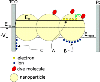 Schematics of a dye-sensitized solar cell, consisting on dye molecules adsorbed on nanoparticulate TiO2 that is deposited over a transparent conducting oxide (TCO). Photoinjection increases the chemical potential (concentration) of electrons in the TiO2 phase (A). The electron Fermi level, EFn, is displaced with respect to the lower edge of the conduction band, Ec. The electrode potential, V, is given by the difference between EFn and the redox level Eredox. The increasing negative charge in the semiconductor nanoparticles is compensated by positive ionic charge at the surface (B). With the change of EFn also changes the electrostatic potential of the Helmholtz layer and semiconductor bandbending at the interface between the exposed surface of the transparent conducting oxide substrate and the electrolyte (C).