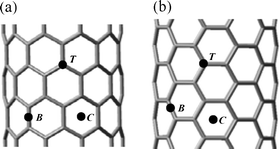 Different possible adsorption sites on the (a) [10,0] CNT and (b) [6,6] CNT. T (top of a carbon atom), B (top of the centre of a C–C bond) and C (top of the centre of a carbon hexagon).