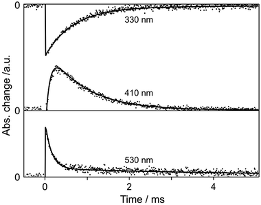 Transient-reflectance kinetic profiles of 2-naphthol encapsulated in NaX supercages, monitored at shown wavelengths after excitation at 320 nm. The solid curves were computer-simulated using the kinetic constants of Table 2.