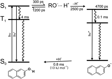 Schematic representation of the excited-state deprotonation dynamics of 2-naphthol and the ground-state reprotonation dynamics of 2-naphtholate in NaX nanocavities.