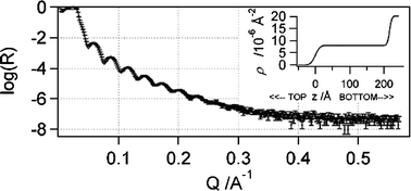 
          XR
          reflectivity curve in air for a molecularly thin spin-cast film of Ag+ ISE deposited onto atomically smooth silicon. Note, R is the neutron reflectivity, Q is the magnitude of the neutron-scattering vector, and ρ is the scattering-length density (SLD).