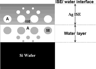 Schematic diagram depicting the physical structure in a CWE ISE membrane, noting the formation of a water layer comprising exuded plasticizer (i.e. M) and a membrane phase saturated with polydisperse water (i.e. A).