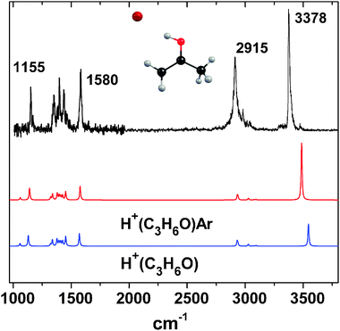 
          IRPD
          spectrum of the H+(C3H6O)Ar complex (corrected for laser power), along with ab initio calculations for protonated acetone with (red) and without (blue) Ar.