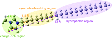 An optimised structure of a 1-methyl-3-octadecylimidazolium cation showing the structural regions that are important for determining the melting point. From left: at 4 Å the charge-rich region localised on the imidazolium ring; at 5.5 Å the symmetry-breaking region that decreases the melting point; from 12 Å onwards the hydrophobic region that increases the melting point due to van der Waals interactions.43