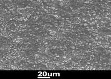 SEM photo of aluminium deposited on sheet steel from [C2mim][AlCl4] at room temperature (© BASF 2007).