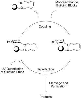 Coupling cycle of automated oligosaccharide synthesis.
