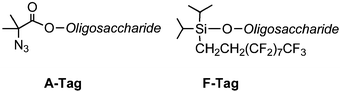 Cap-tags to facilitate removal of deletion sequences.