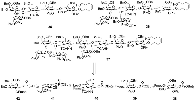 Retrosynthesis of Lewis X pentasaccharide (35), Lewis Y hexasaccharide (36), and Ley–Lex nonasaccharide (37) indicates monosaccharide building blocks 38–42. (Bn, benzyl; Bu, butyl; Piv, pivaloyl; Lev, levulinoyl; Fmoc, 9-fluorenylmethoxycarbonyl; TCA, trichloroacetyl.)