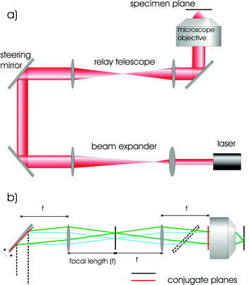 (a) Typical arrangement of delivery optics for a gradient force optical tweezers; including beam expanding optics to match the beam waist to the back-aperture of the microscope objective; relay and beam steering optics for delivering the beam and a high NA microscope objective for focusing the beam to a diffraction limited spot. (b) Details of the operation of the beam steering optics. The conjugate plane of the steering mirror (narrow line) is imaged onto the back focal plane of the microscope objective via a relay telescope. This enables the position of the beam in the focal plane to be controlled whilst maintaining optimal back-aperture filling; an important factor for trap efficiency.