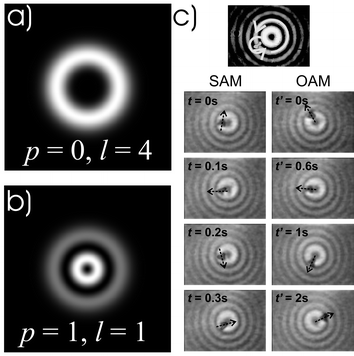 Novel light propagating modes enable unique ways of trapping and manipulation particles. Modes such as Laguerre–Gaussian beams (a, b) and higher order Bessel beams may carry both spin and orbital angular momentum, which may be transferred to a particle to make it spin and gyrate. Laguerre–Gaussian modes are circular symmetric higher order modes characterised by radial mode index, p (determines radial structure), and an azimuthal mode index, l (determines helicity). Image (c) shows a birefringent particle trapped in the first ring of a higher order Bessel beam, rotating simultaneously (i) around its own axis due to spin angular momentum and (ii) around the beam's axis due to orbital angular momentum. (Fig. 6b reproduced by permission from ref. 39. Copyright 2003 the American Physical Society.)