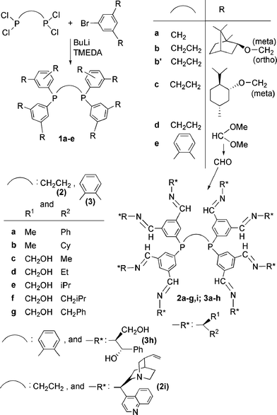 Synthesis of “expanded phosphines”.
