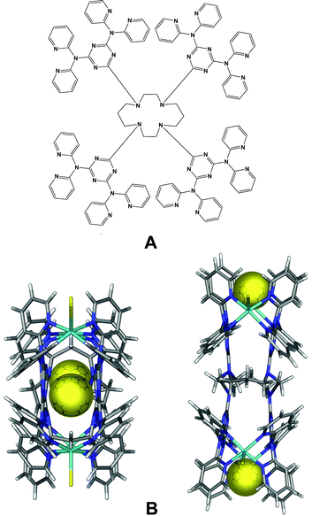 (A) Schematic drawing of N,N′,N″,N‴-tetrakis{2,4-bis(di-2-pyridylamino)-1,3,5-triazinyl}-1,4,8,11-tetraazacyclotetradecane (L2). (B) Crystal structure of [Cu4(L2)Cl4][Cl]4(H2O)13 from two different perspectives. Atom colors: C = grey, H = white, N = dark blue, Cu = light blue and Cl = yellow. Figure adapted from ref. 33.