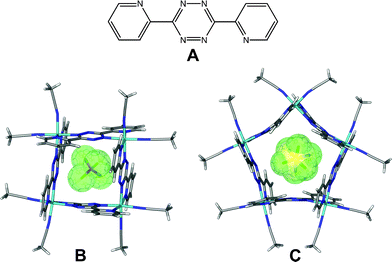 (A) Schematic drawing of bptz in the anti orientation; crystal structures of the (B) square [Ni4(bptz)4(CH3CN)8⊂BF4]7+ and (C) pentagon [Ni5(bptz)5(CH3CN)10⊂SbF6]9+. Atom colors: C = grey, H = white, N = dark blue, Ni = light blue, B = orange, F = green and Sb = yellow. Figure adapted from ref. 34.