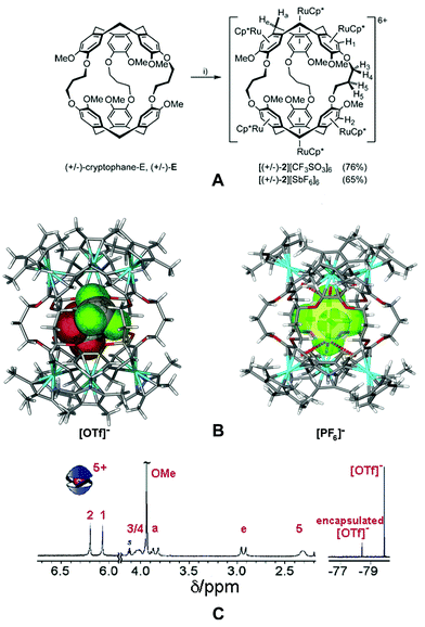 (A) Synthesis of (±)-{Cp*Ru)6(E)]6+ from (±)-cryptophane-E [(±)-E] and [Cp*Ru(CH3CN)3][X], where X = [CF3SO3]– or [PF6]–. (B) X-Ray crystal structures of {[(±)-2][CF3SO3]}5+ and {[(±)-2][SbF6]}5+. Atom colors: O = red, S = yellow, N = dark blue, Ru = light blue, F = green, C = grey and H = white. (C) 1H (left) and 19F (right) NMR spectra of [(±)-2][CF3SO3]6 at equilibrium in CD3NO2. (Reproduced with permission48 from K. T. Holman et al., J. Am. Chem. Soc., 2005, 127, 16364. Copyright 2005 the American Chemical Society.)