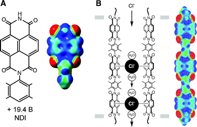 (A) The N,N-naphthalenediimide unit (NDI) and its DFT-computed ESP map. (B) An oligo-(para-phenylene)-N,N-naphthalenediimide (O-NDI) rod as a chloride π-slide in lipid bilayer membranes and its DFT-computed ESP map. Blue areas: electron poor, red areas: electron rich. (Reproduced with permission51 from S. Matile et al., J. Am. Chem. Soc., 2006, 128, 14788. Copyright 2006 the American Chemical Society.)