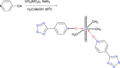 scheme, filename = b616738c-s23.gif