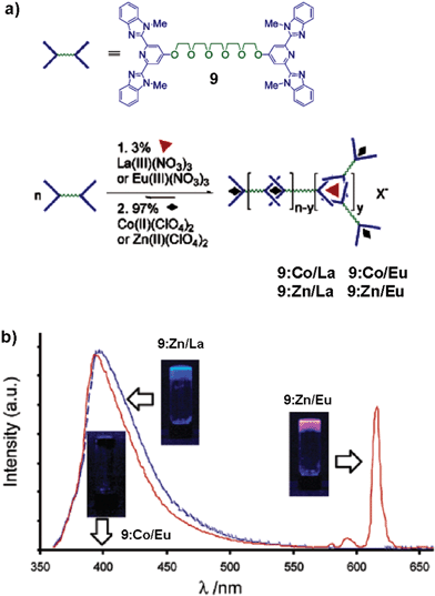 (a) Schematic representation of the formation of a metallo-supramolecular gel using a combination of lanthanoid and transition metal ions mixed with the monomer 9. (b) Photoluminescence spectra of metallo-supramolecular gels prepared in acetonitrile (λex = 340 nm). 9:Co/Eu shows no photoluminescence and lies essentially along the baseline. The insets show the gels under UV light (365 nm). Reprinted with permission from ref. 44. Copyright 2003, American Chemical Society.