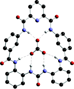 The X-ray crystal structure of carbonate included within macrocycle105. Other components of the structure and non-acidic hydrogen atoms in the structure have been omitted for clarity.
