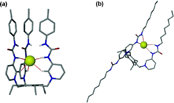 (a) DFT-minimised structure of the 114a–Cl− complex showing the manner in which the anion is bound. (b) DFT-minimised structure of the 2-up, 1-down structure of 114b–Cl−. Reproduced with permission from ref. 144. Copyright © 2006 ACS.