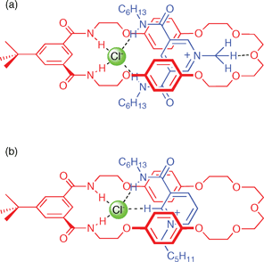 (a) 3,5-Dicarboxamidopyridinium-based pseudorotaxane assembly. (b) Nicotinamide pseudorotaxane assembly.