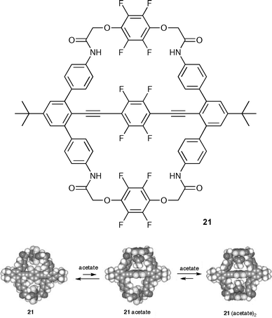 Cooperative acetate binding to 21 with the energy-minimised structures of free 21, 21·acetate 1 : 1 complex and 21·(acetate)2 1 : 2 complex. Reproduced with permission from ref. 35. Copyright © 2005 Royal Society of Chemistry.