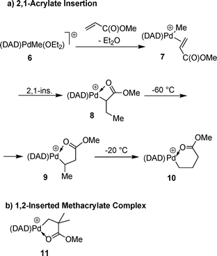 Insertion reaction of acrylates; anionic counterion BAr′4−. (a) Mechanism for the usual 2,1-insertion of acrylates; (b) product of the 1,2-insertion of MMA.