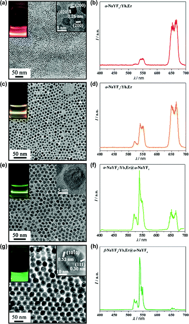 The TEM images, visual fluorescence images (a, c, e, g), and corresponding UC emission spectra of NaYF4:Yb,Er series (b, d, f, h).