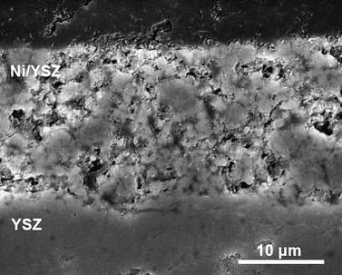 
            Scanning electron microscope image of the Ni/YSZ anode.
