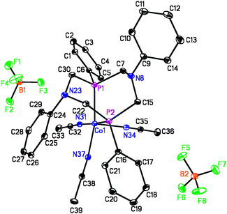 Perspective drawing and numbering scheme for [Co(PPh2NPh2)(CH3CN)3](BF4)2. Hydrogen atoms are omitted for clarity, and thermal ellipsoids are drawn at 30% probability.