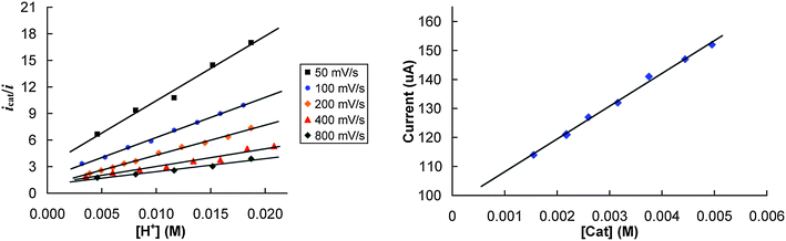 Plots of icat/ivs. triflic acid concentration for a 1.2 × 10−3 M solution of [Co(PPh2NPh2)2(CH3CN)](BF4)2 at several different scan rates (left graph). (b) Plot of catalytic current vs. concentrations of [Co(PPh2NPh2)2(CH3CN)](BF4)2 demonstrating first order kinetic behavior (right graph). Conditions: 0.3 M NBu4BF4 (supporting electrolyte) acetonitrile solution, glassy carbon working electrode.