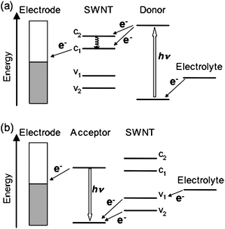 General energy diagram for using CNTs as (a) acceptors and (b) donors in photoelectrochemical devices.