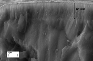 Cross-section FE-SEM micrograph of the BZY–BCY bilayer electrolyte.