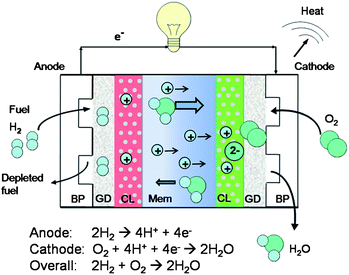 Schematic diagram of a PEM fuel cell. BP, GD, CL and Mem represent bipolar plates, gas diffusion layers, catalyst layers and membrane, respectively.