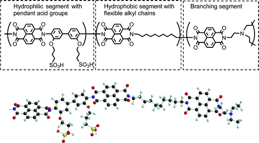 Chemical structure (top) and ball and stick model (bottom) of sulfonated copolyimide with pendant acidic groups and flexible aliphatic main chains. Reprinted from ref. 148 with the permission of the Royal Society of Chemistry.