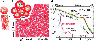 Illustration of the parallel water channel model of Nafion.57 (a) Cross-sectional and transverse views of an inverted micelle cylinder. Darker shades represent features closer to the viewer; (b) packing of inverted micelle cylinders; (c) cross-section of the simulated system showing water channels (white), Nafion crystallites (red) and amorphous Nafion matrix (orange); (d) SAXS intensity I(q) as a function of scattering vector q. The experimental data of Rubatat et al.33 are in green and the model curve is in red (solid line). The simulated curves from the water channels only (dashed) and crystallites only (dotted) are also shown. Inset shows the same plot over a longer range of q. Reprinted from ref. 57 by permission from Macmillan Publishers Ltd, Nature Materials, copyright 2008.