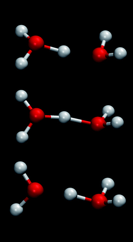 Illustration of proton transport by structural diffusion via a Zundel ion.