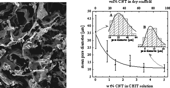 SEM image of a conductive chitosan–carbon nanotube composite used an electrode material (A) and the corresponding pore size distribution analysis calculated through software assisted pore size analysis (B).