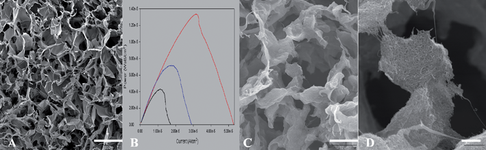Various forms of chitosan scaffolds. A: Typical chitosan scaffold, scale bar 50 μm; B: power curves from glucose dehydrogenase immobilized in chitosan film (lowest), and chitosan scaffolds (higher); C: chitosan–MWCNT scaffolds, scale bar 10 μm; D: chitosan–MWCNT scaffolds, scale bar 1 μm. (MWCNT = multi-walled carbon nanotubes).