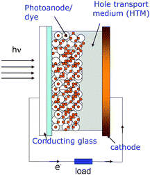 Schematic representation of a dye-sensitized solar cell. White circles refer to a near-UV absorbing photoanode and red filled circles refer to monolayer adsorpted dye molecules for visible light absorption.