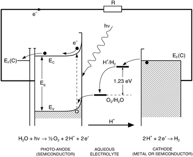 The charge transfer within the PEC formed of a semiconducting (n-type) anode and metal cathode.