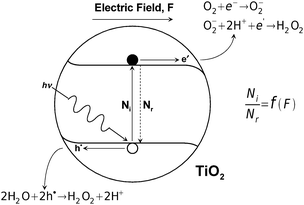 Schematic representation of photocatalytic reactivity of TiO2 and the related charge transfer, where Ni and Nr denotes the concentration of excited and recombined electrons.