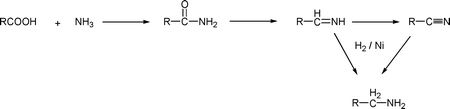 Preparation of fatty amine.