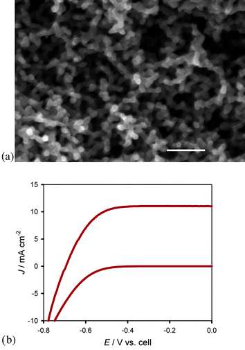 (a) SEM image of aerogel film coated with ∼9 nm TiO2viaALD (scale bar = 100 nm) (b) Jvs.E curve of TiO2 coated (∼9 nm) aerogel photoanode employed in a DSSC with N3 and I3−/I− under AM 1.5 illumination: Jsc = 11 mA cm−2, Voc = 0.7 V, FF = 0.7, η = 5.4% (lower plot = no illumination).