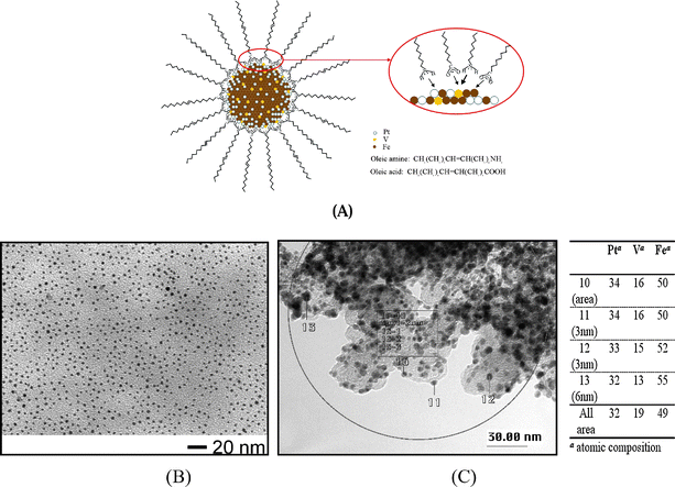 (A) A schematic illustration of PtVFe nanoparticle core encapsulated by a monolayer shell of oleic amine/oleyl amine. (B) TEM micrograph for Pt33V14Fe53 nanoparticles. (C) High resolution TEM-EDX data for the ternary nanoparticle catalyst (Pt33V14Fe53/C).24